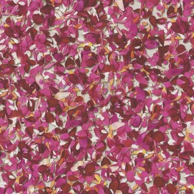 Papel de parede 476002