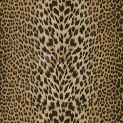 Papel de Parede RC12017