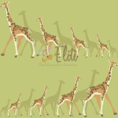 Papel de Parede DW2364 - A